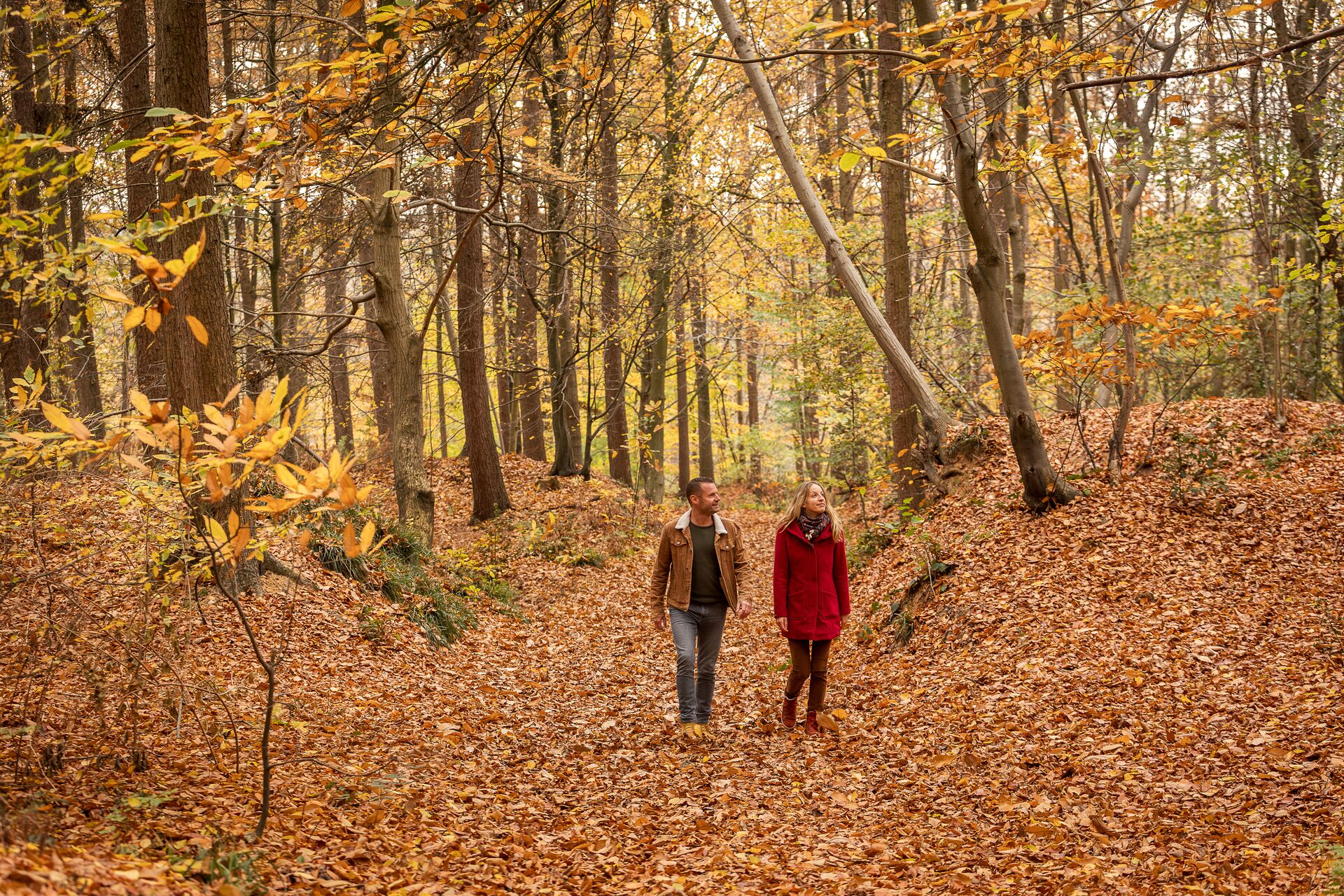 Una pareja camina de la mano por un bosque otoñal sereno, rodeada de altos árboles y hojas doradas, creando una atmósfera acogedora y tranquila.