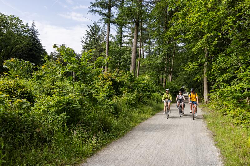 Three people cycle on a gravel path through a lush, green forest. The scene is sunny and serene, conveying a sense of adventure and tranquility.