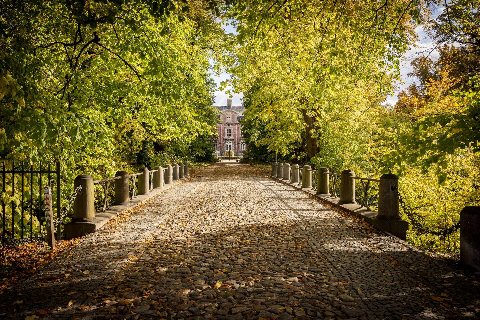 Un camino adoquinado flanqueado por árboles verdes y frondosos conduce a una imponente casa de ladrillo bajo un cielo despejado, transmitiendo una atmósfera serena y acogedora.