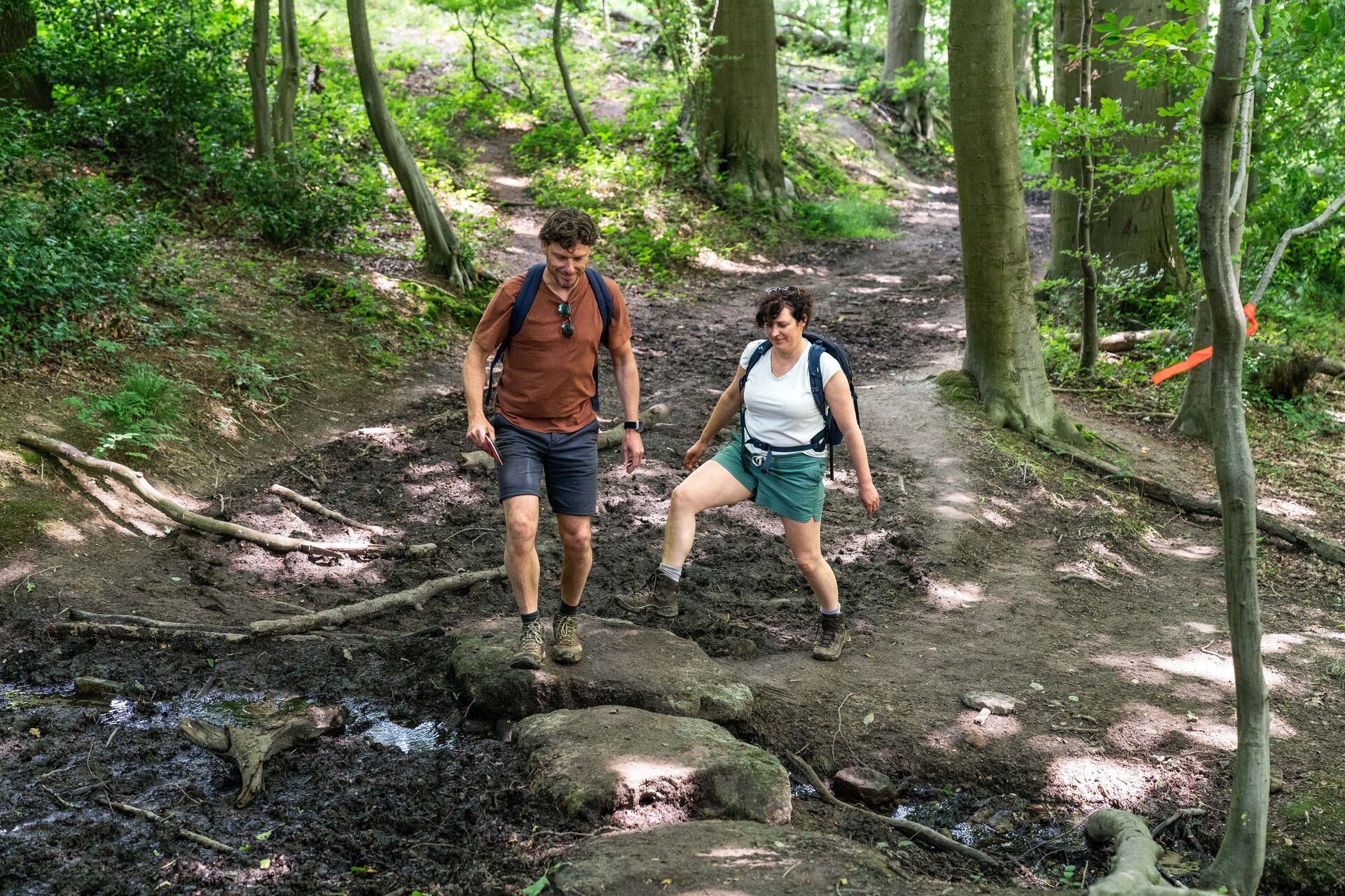 Caminantes en el bosque Muziekbos