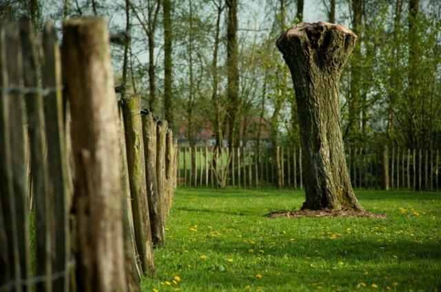 De Weide Wereld_35727774052_o © Appelmeule.nl