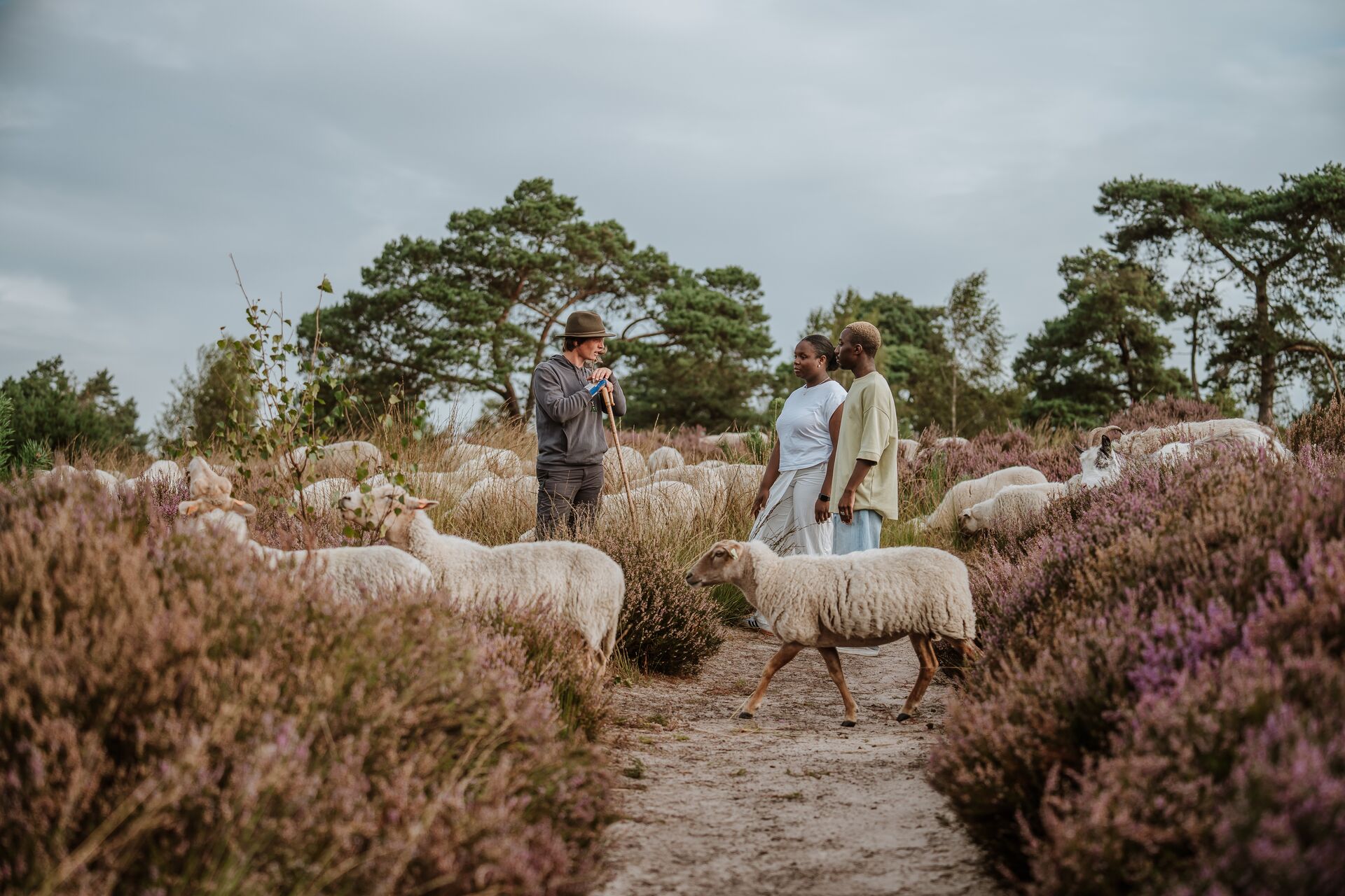 Micro-avonturen Kalmthoutse Heide