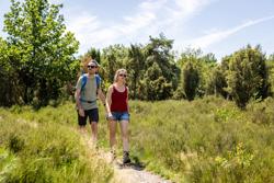 ToerismeVlaanderen-Thorpark-20260629-HR-111
