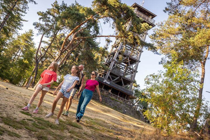 Eine vierköpfige Familie genießt einen Spaziergang in einer sonnigen Waldlichtung, im Hintergrund ein hoher hölzerner Aussichtsturm. Die Stimmung ist entspannt und fröhlich.