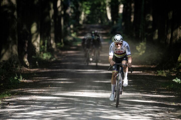 Gravelfietsers in de Brabantse Wouden