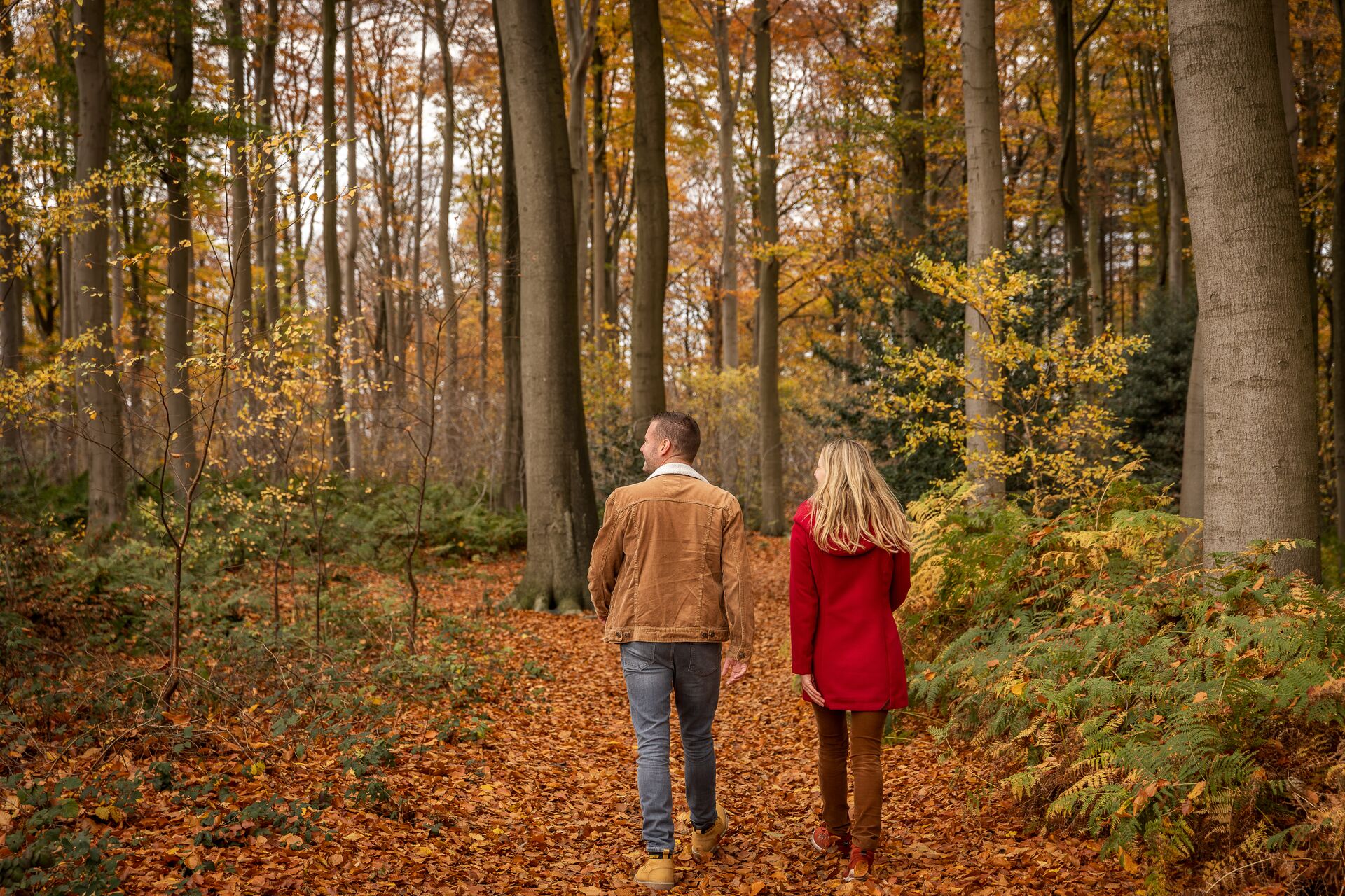 Una pareja camina por un bosque otoñal sereno, con hojas cubriendo el camino. El hombre lleva una chaqueta color beige y la mujer un abrigo rojo, transmitiendo calidez y tranquilidad.