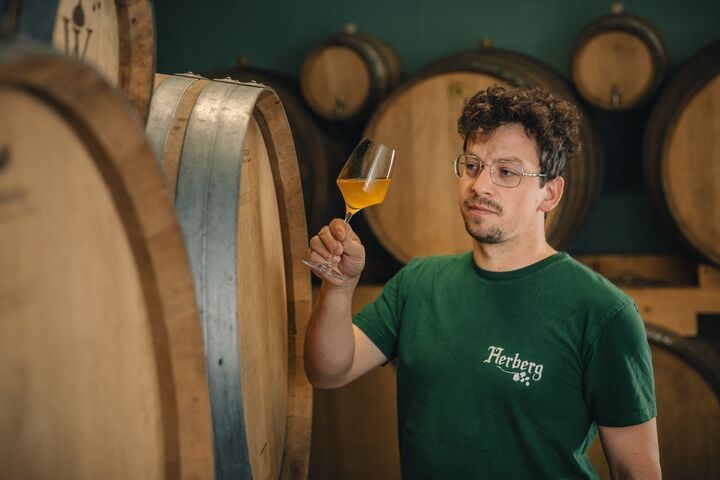 Een persoon met een bril bekijkt een glas amberkleurige vloeistof in een brouwerij of kelder met grote houten vaten, wat focus en contemplatie uitstraalt.