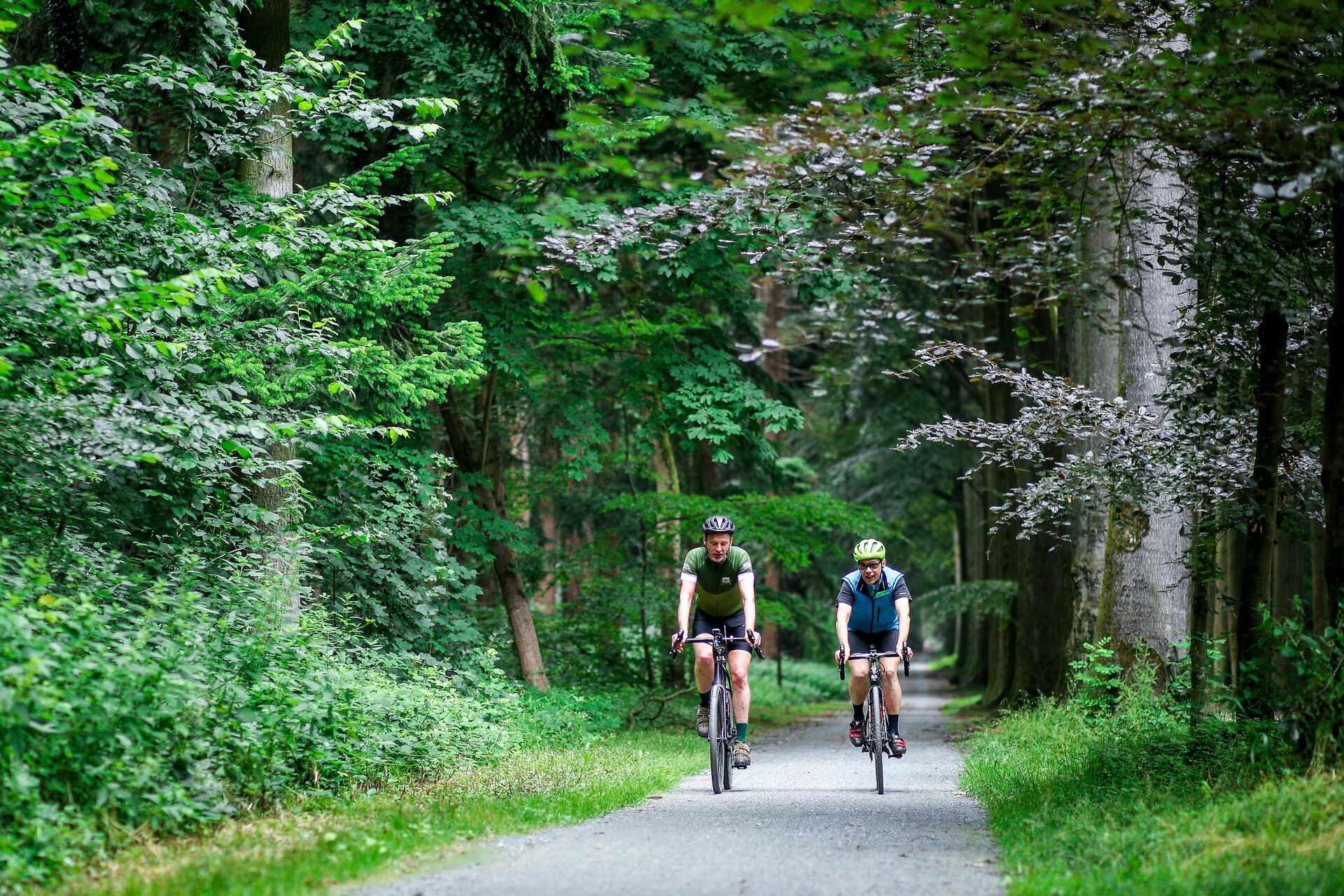 Gravel in Brabant (c) GOLAZO (2)