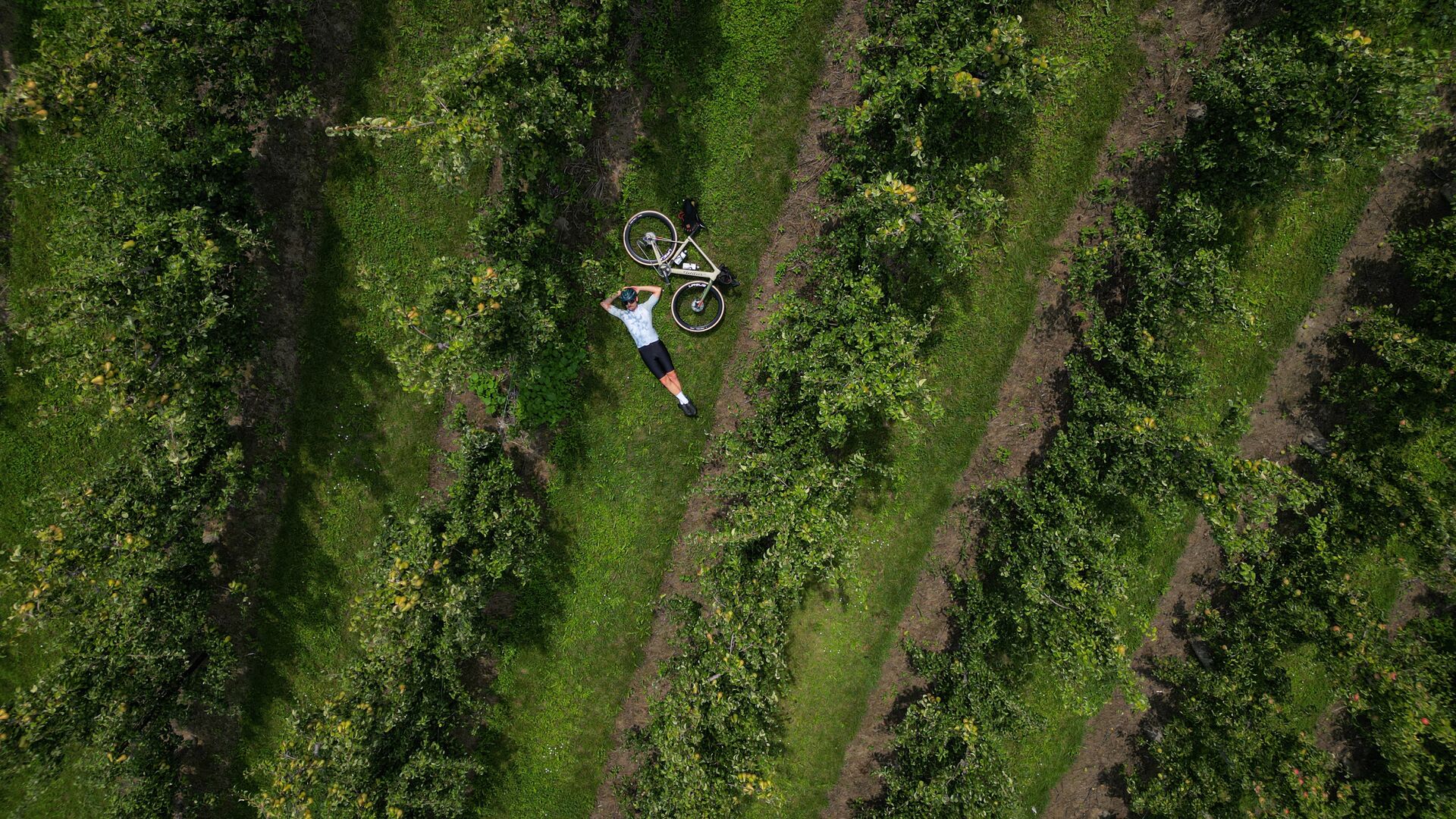 CYCLING IN FLANDERS Haspengouw (c) Grinta! (2)