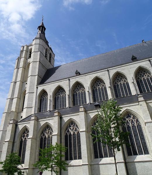 OLV over de Dijle kerk Mechelen (c) Eddy De Ron (7)
