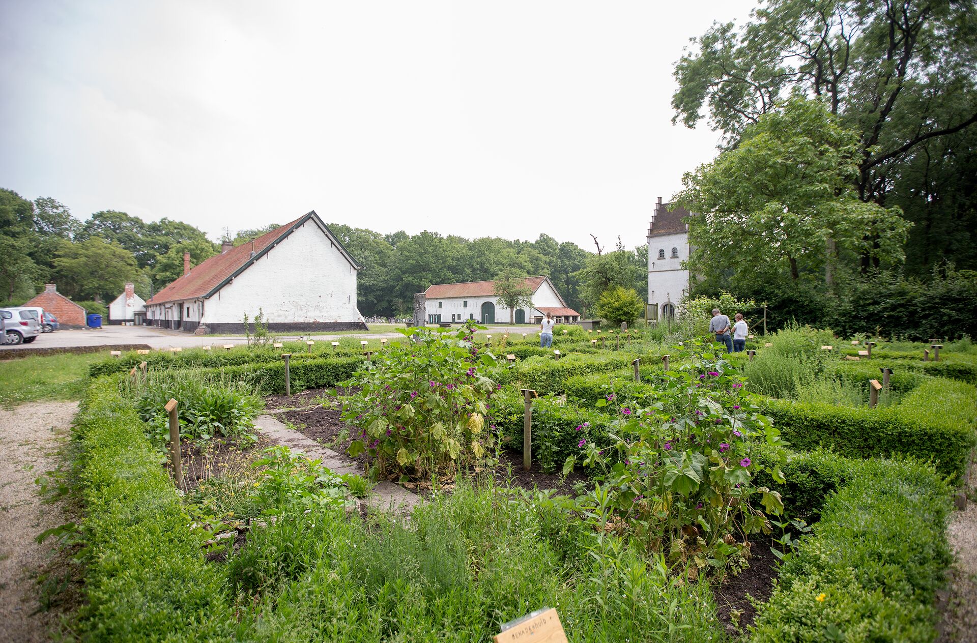 Het Drongengoed is het grootste aaneengesloten bos van de provincie, goed voor uren wandelplezier. Drongengoed_DrongengoedhoeveDrongengoed © David Samyn voor Toerisme Oost-Vlaanderen