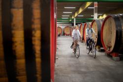 Brouwerij 3 Fonteinen_8 © David Samyn in opdracht van Fietsvakanties in Vlaanderen