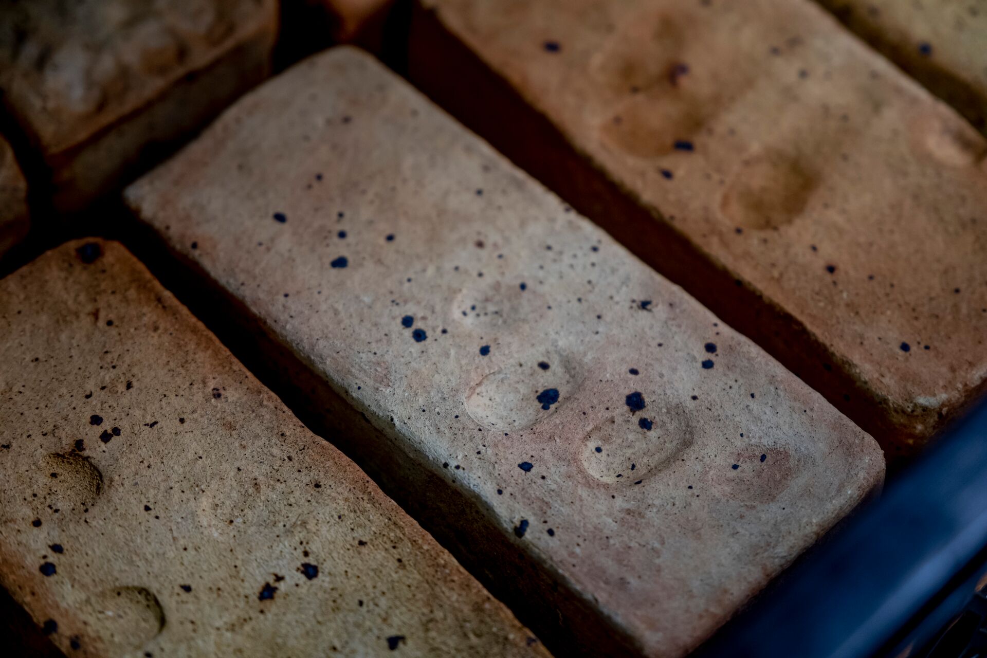 TVLRupelmonde_08 © Jan Crab