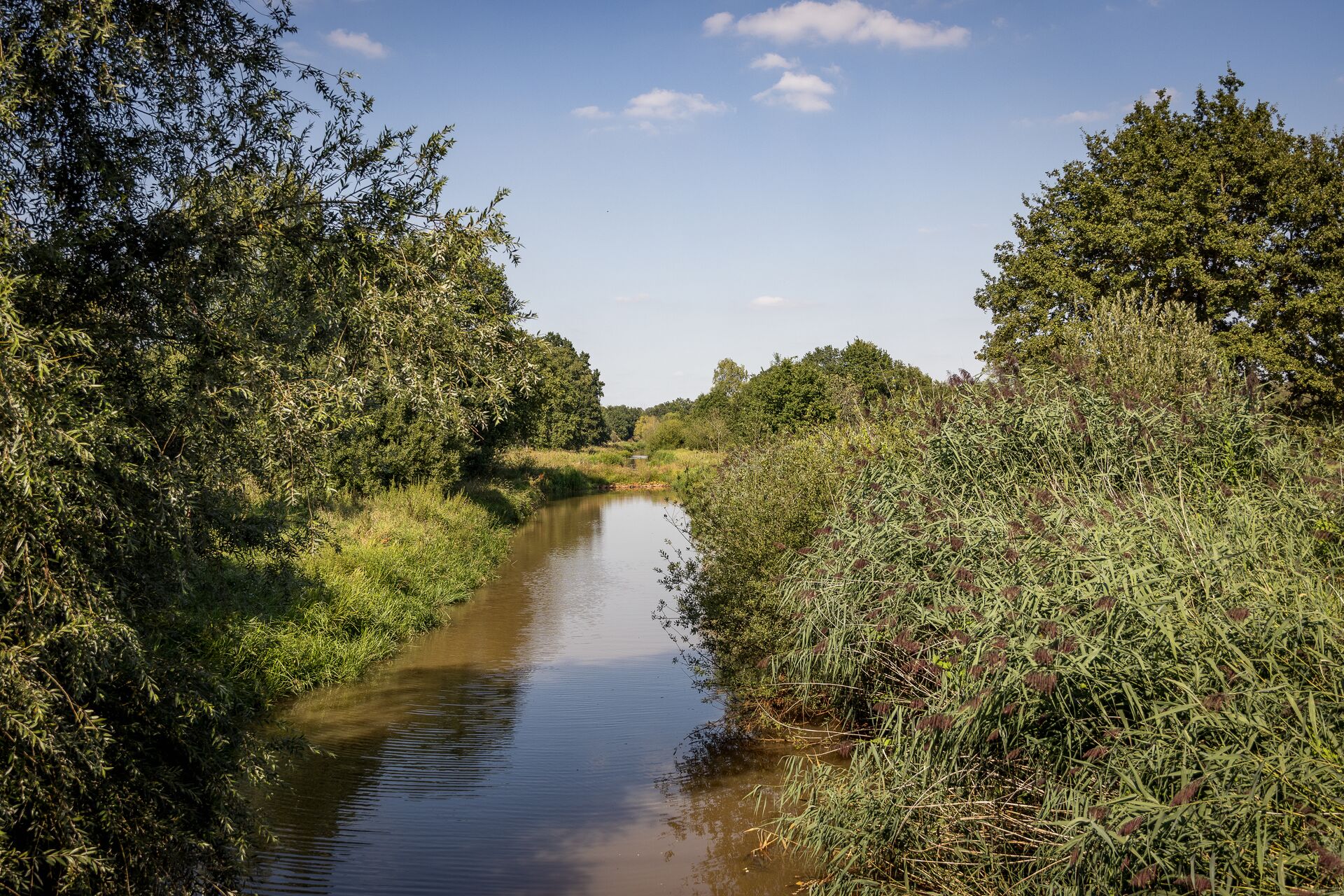 Ontdekkingstocht Herentals - Flanders finest hiking Antwerpen - ontdekkingstocht Herentals (56)