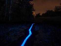 LichtsporenRoosegaarde (c) Stad Genk