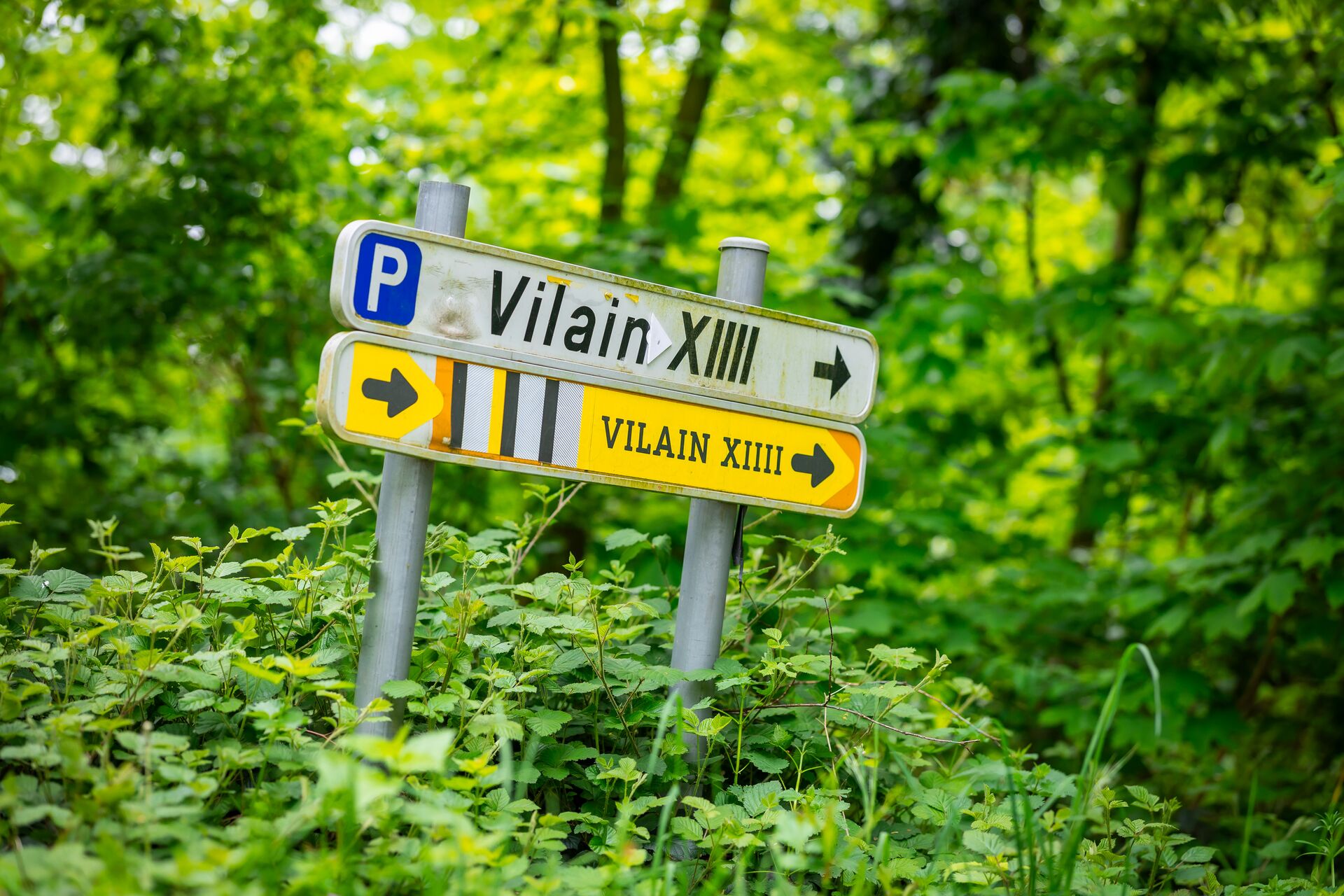 De start van een wijnstraat in het Noorden van Europa! In een unieke samenwerking bundelen Vlaanderen en Nederland hun krachten om duurzaam wijntoerisme te ontwikkelen en te verbinden over 4 wijngebieden: Hageland, Haspengouw, de Belgisch-Nederlandse Maasvallei en Mergelland/Zuid-Limburg. Dat verbinden gebeurt via een onderzoek over regionale wijnidentiteit, productontwikkeling van een wijnroute en wijnbeleving en een innovatief en duurzaam wijnecosysteem. Kick-off Wijnstraat