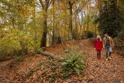 Seizoen foto VisitFlanders