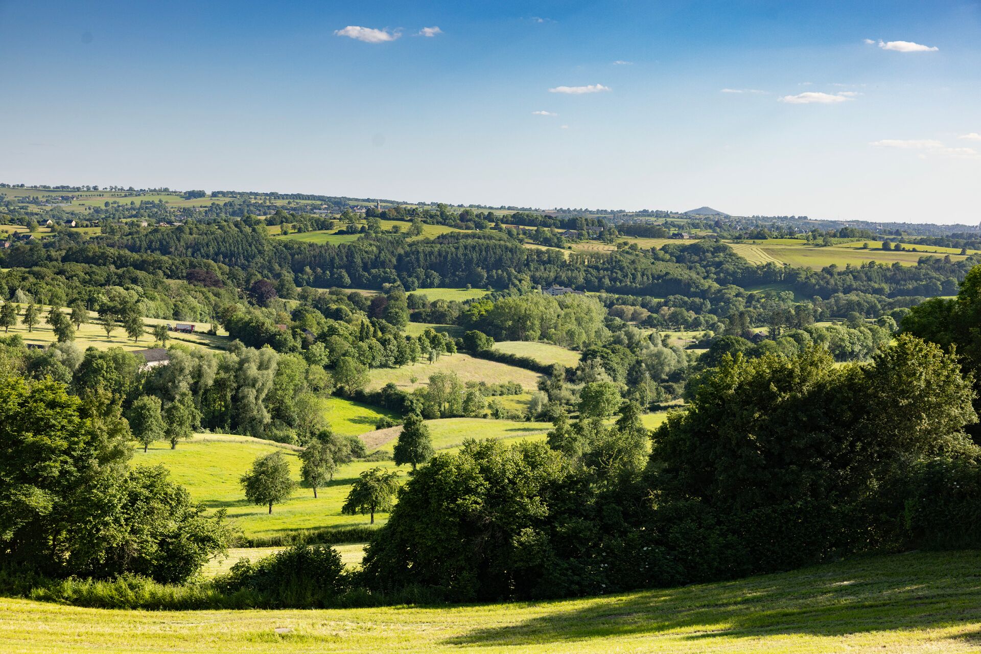 Uitgestrekte groene landschappen met glooiende heuvels onder een helderblauwe lucht. Weelderige bomen en verspreide velden creëren een serene en vredige omgeving.