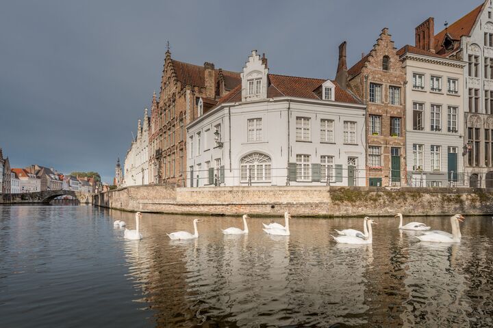 Brugge water (c) Jan Darthet (7)