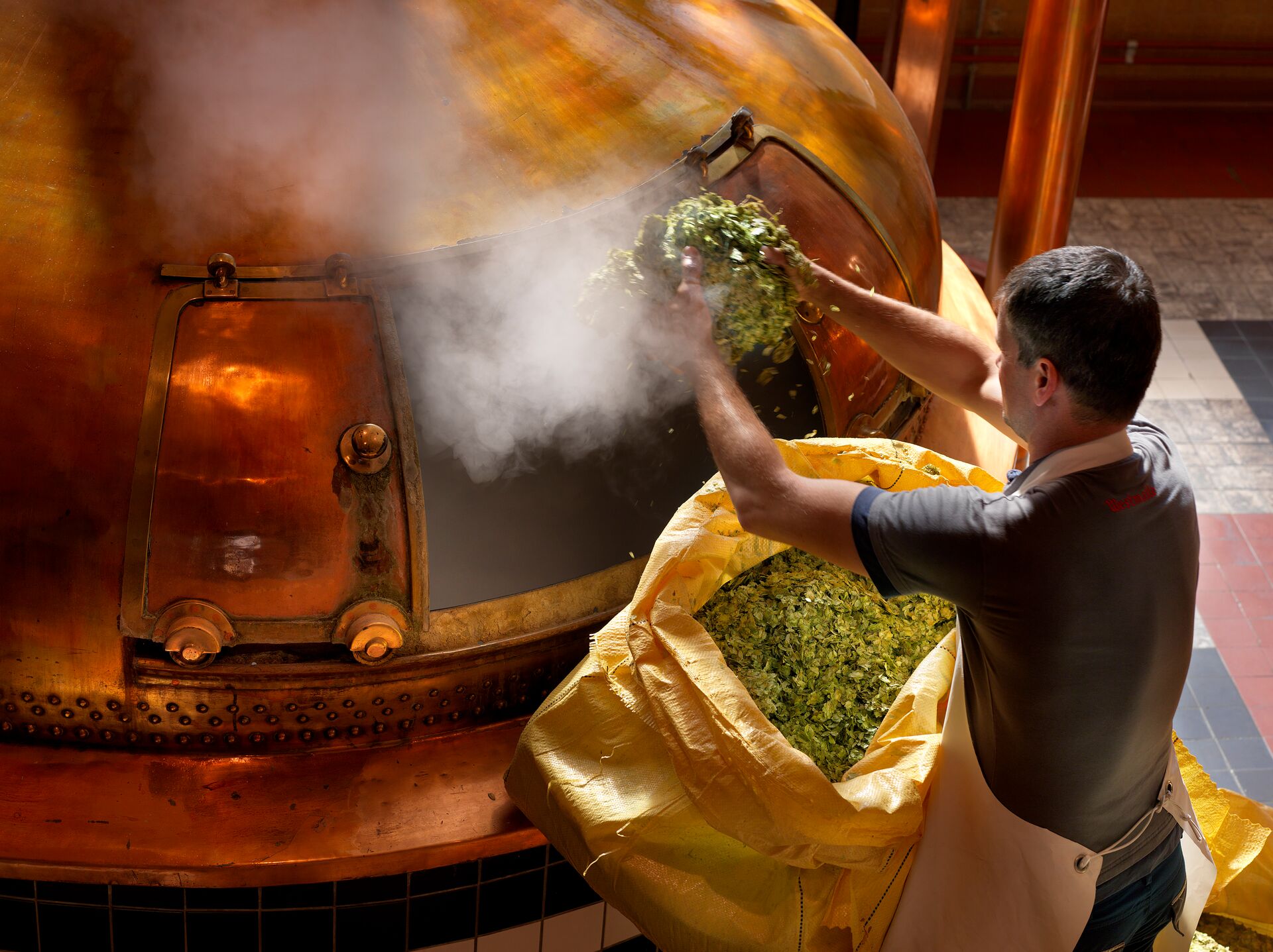 Een man voegt hop toe aan een brouwketel.