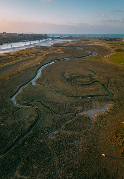 Vlaams Natuurreservaat De IJzermonding (c) Westtoer