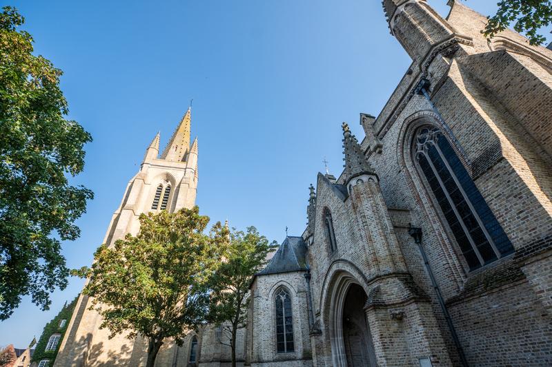Gotische kerk met hoge torenspitsen, sierlijk steenwerk en gebogen ramen tegen een heldere blauwe lucht. Een boom omlijst de linkerkant en voegt groen toe.