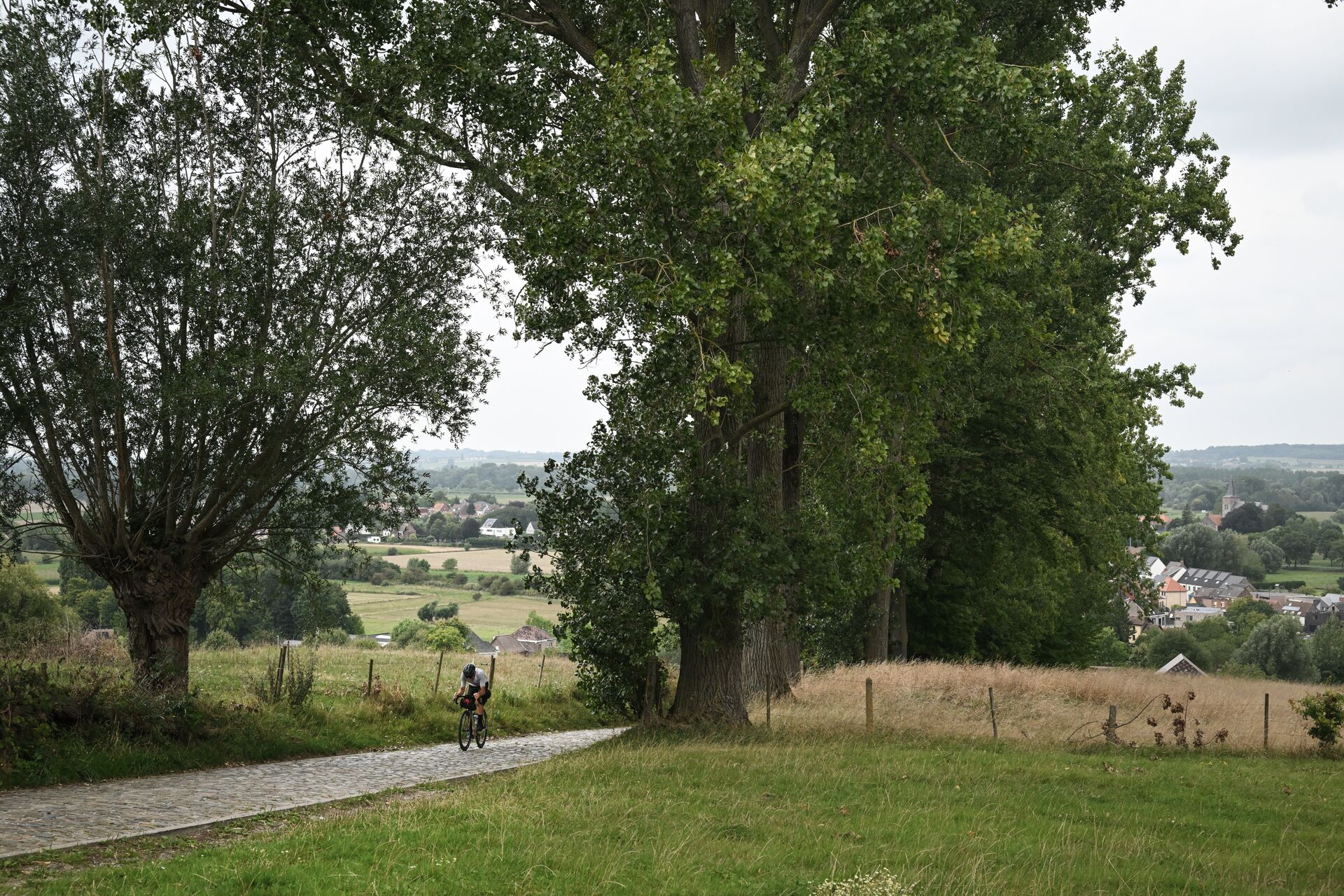 CYCLING IN FLANDERS Koppenberg (c) Grinta! (3)