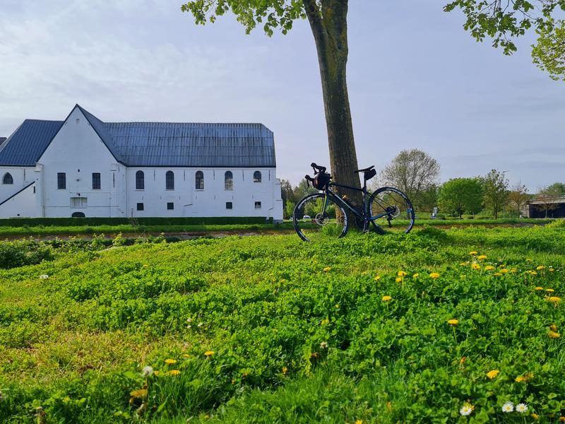Een fiets leunt tegen een boom in het landschap van Oudenaarde.