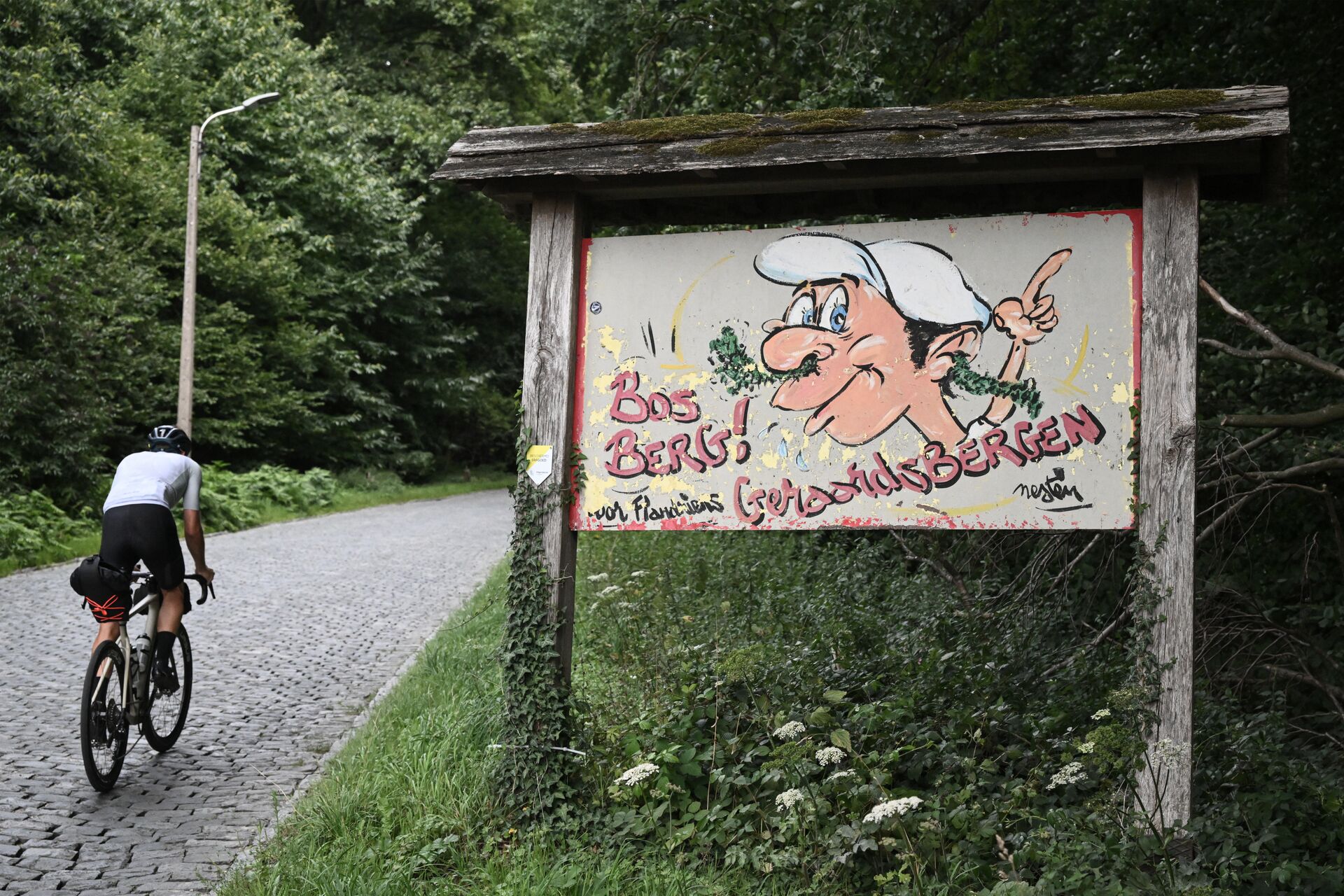 CYCLING IN FLANDERS Bosberg (c) Grinta!