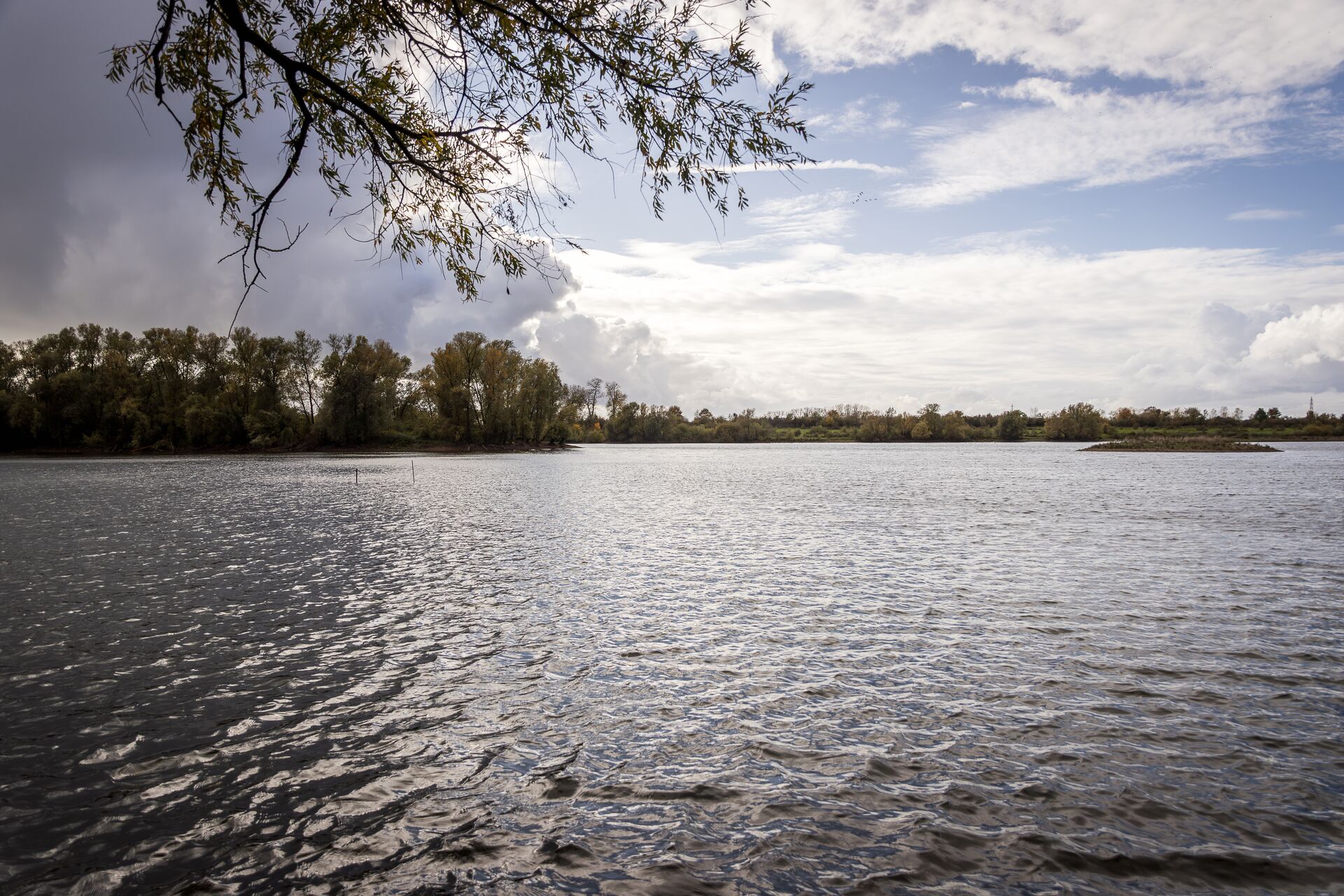 Lago tranquilo bajo un cielo parcialmente nublado, con agua ondulante y ramas de árboles que se arquean por encima. Un paisaje natural sereno y pacífico.