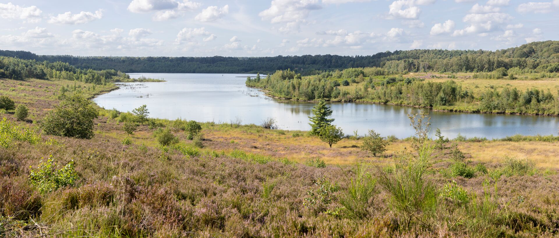 De Kempenroute strekt zich uit tussen Antwerpen en Maasmechelen en staat bol van afwisseling. Zo fiets je doorheen bossen, uitgestrekte heidegebieden, langs duinen die je enkel verwacht in de Sahara en passeer je Kempense meren of industriële mijnerfgoed langs een oud kolenspoor. Maasmechelen_Vallei van de Kikbeekbron© David Peskens