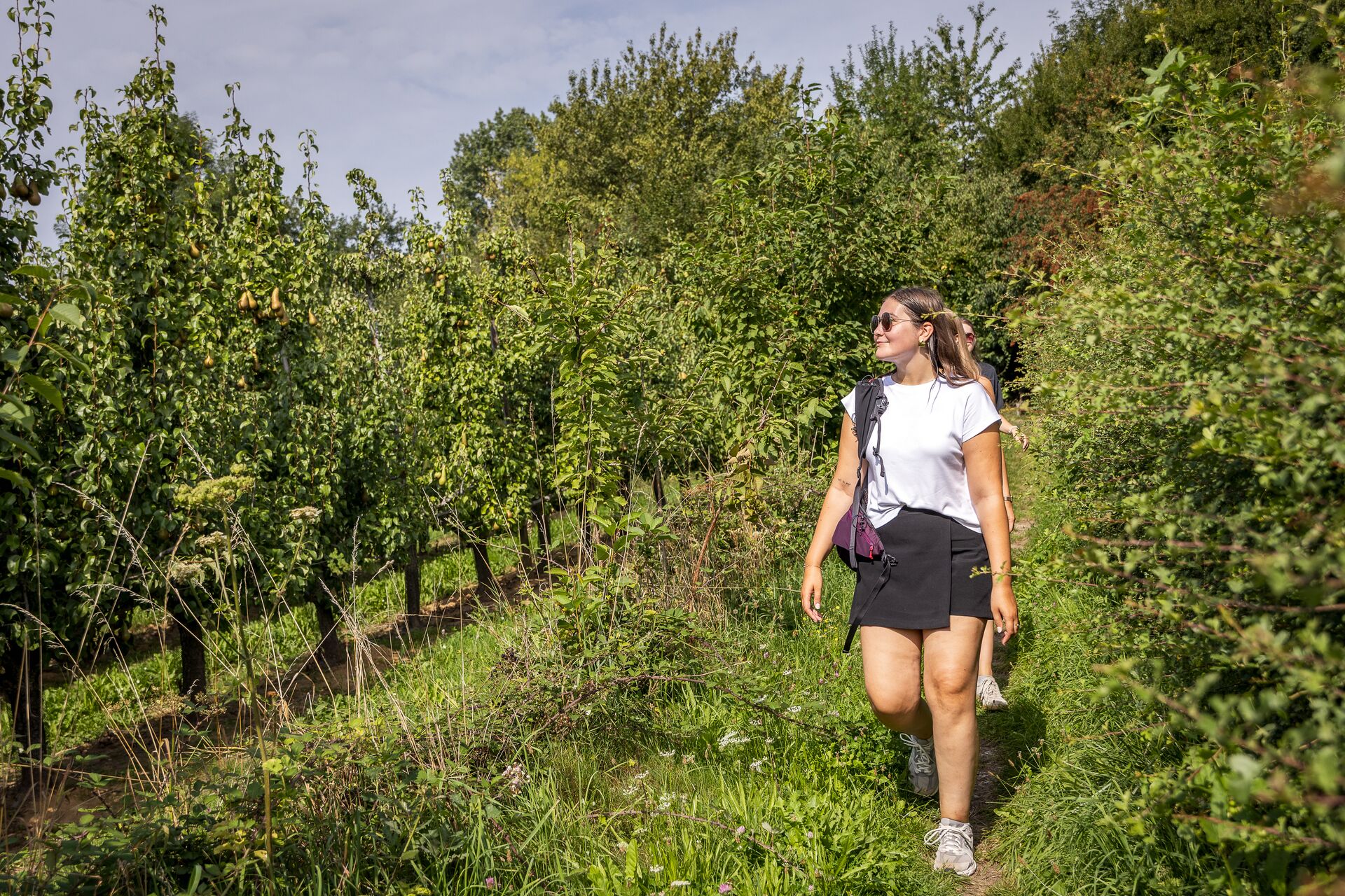Flanders Finest hiking - Pittoreske dorpen wandelroute Limburg ToerismeVlaanderen-Vlaams-Limburg-HR-122