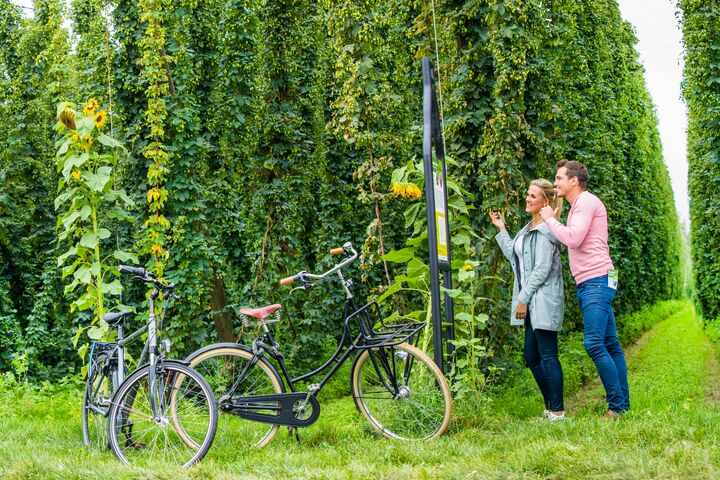 Two people, a woman and a child, joyfully navigate a lush hedge maze. The greenery is vibrant, conveying a sense of fun and adventure.