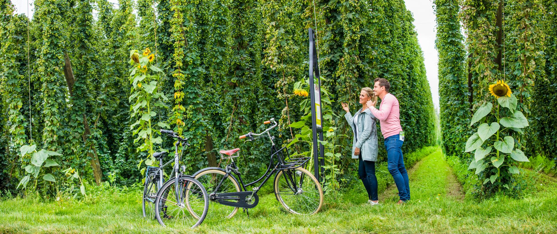 Two people, a woman and a child, joyfully navigate a lush hedge maze. The greenery is vibrant, conveying a sense of fun and adventure.