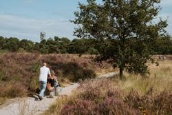 Micro-avonturen Kalmthoutse Heide