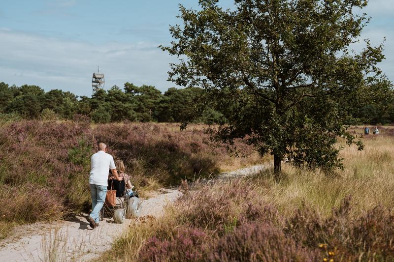 Un homme pousse un fauteuil roulant avec un enfant sur un sentier sablonneux à travers la lande; arbre à droite et tour d’observation au loin.