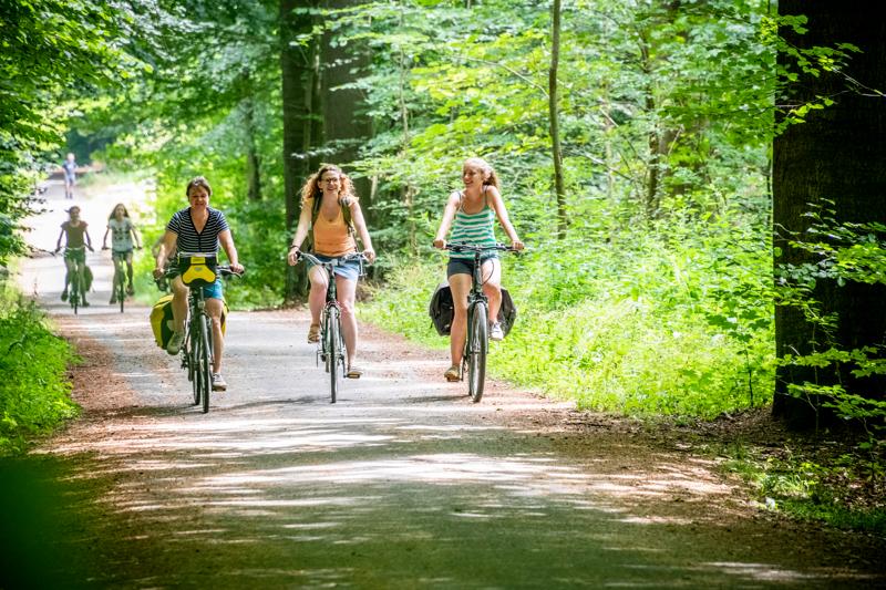 Zoniënwoud (c) Lander Loeckx