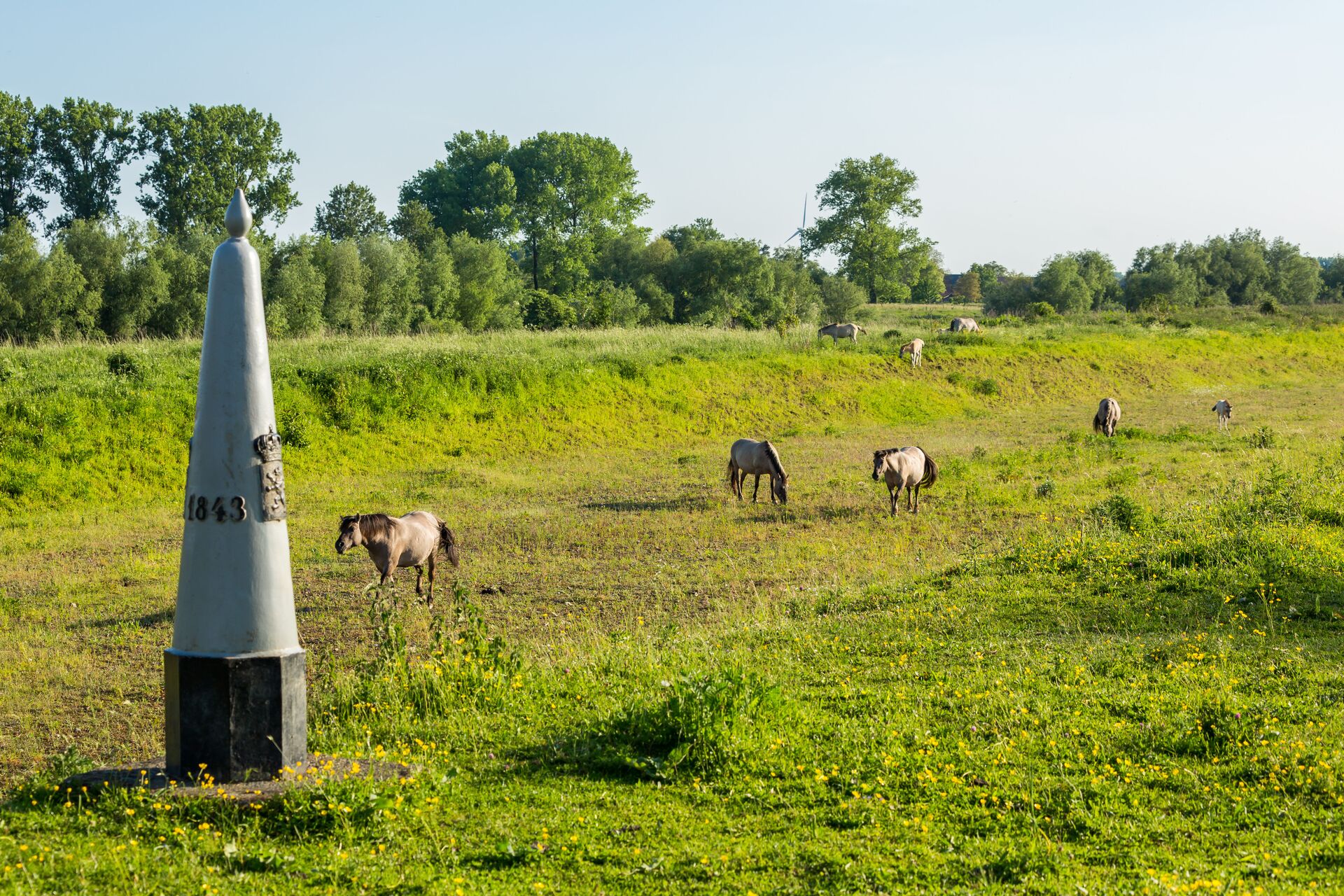 Leut Rivierpark Maasvallei Mazenhoven (c) Gert Arijs