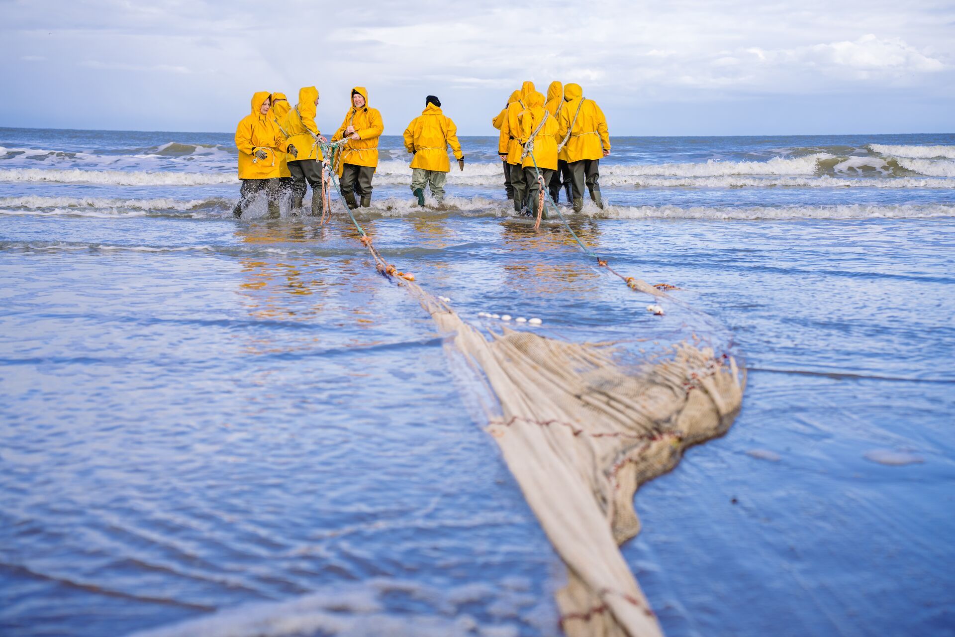 Kruien gebeurt in de branding: daar waar de golven breken! Het is de plek waar platvissen, krabben, garnalen … zich voortplanten en ontwikkelen. De inhoud van het net biedt je een blik op wat er in de Noordzee leeft. garnaalkruien (c) Nick Decombel Fotografie (55)