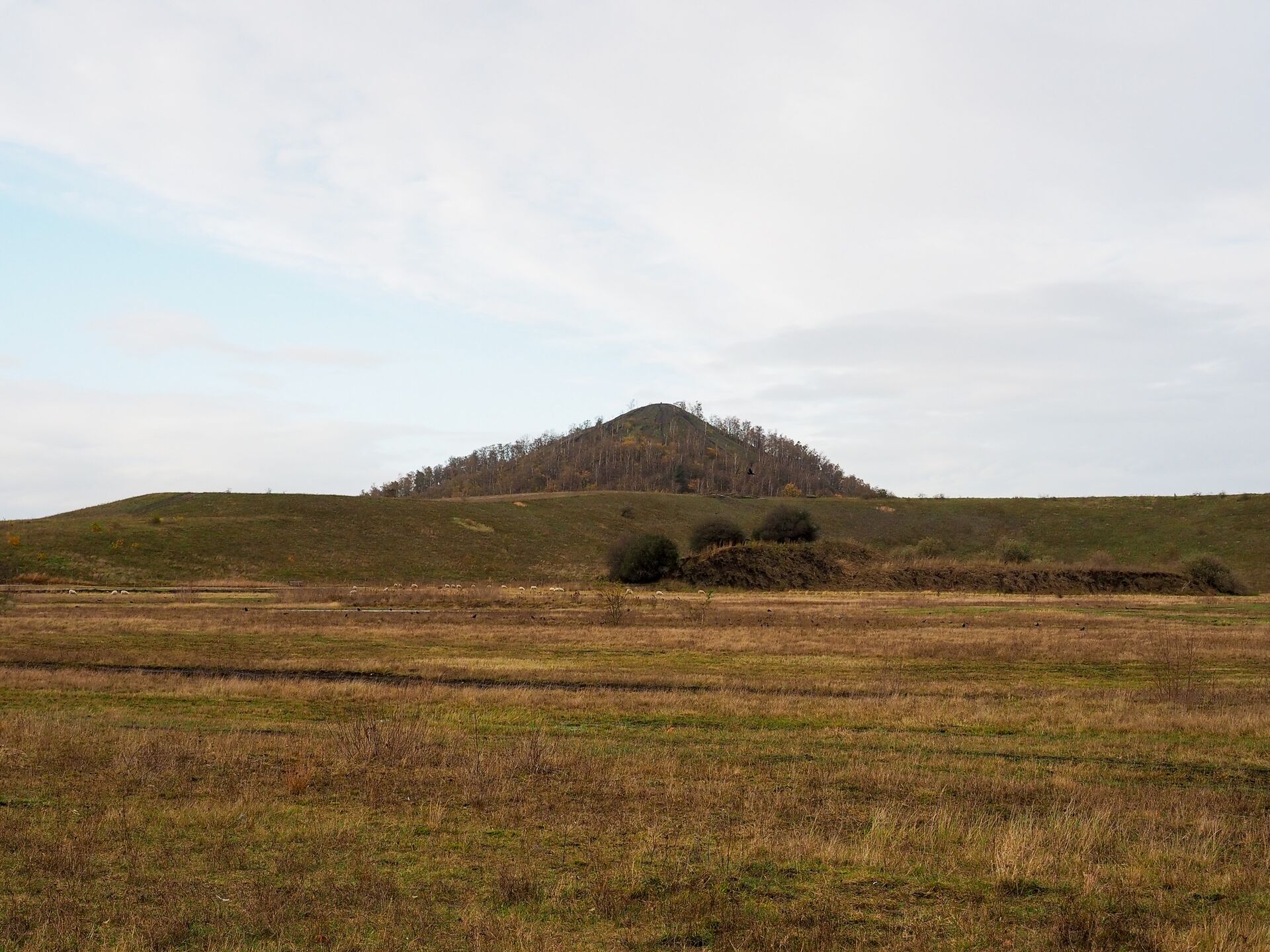Nationaal park hoge kempen - Thorpark