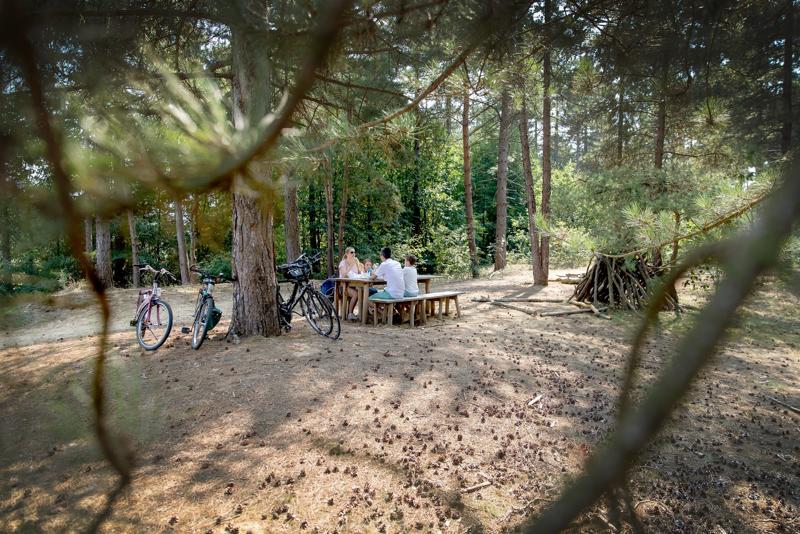 Kempense Heuvelrug (c) David Samyn voor Fietsvakanties in Vlaanderen