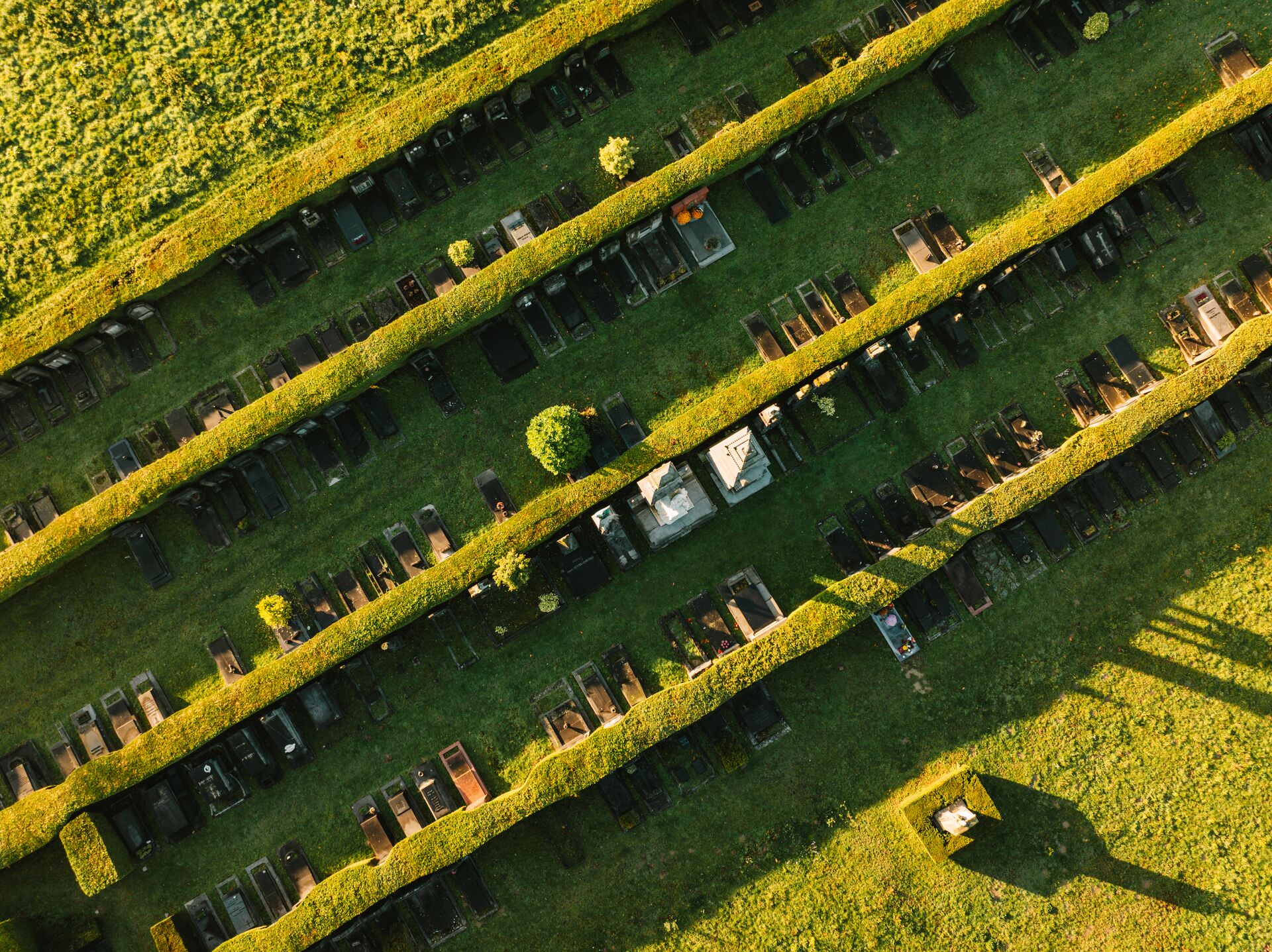 Schoonselhof (c) Veggiewayfarer (1)