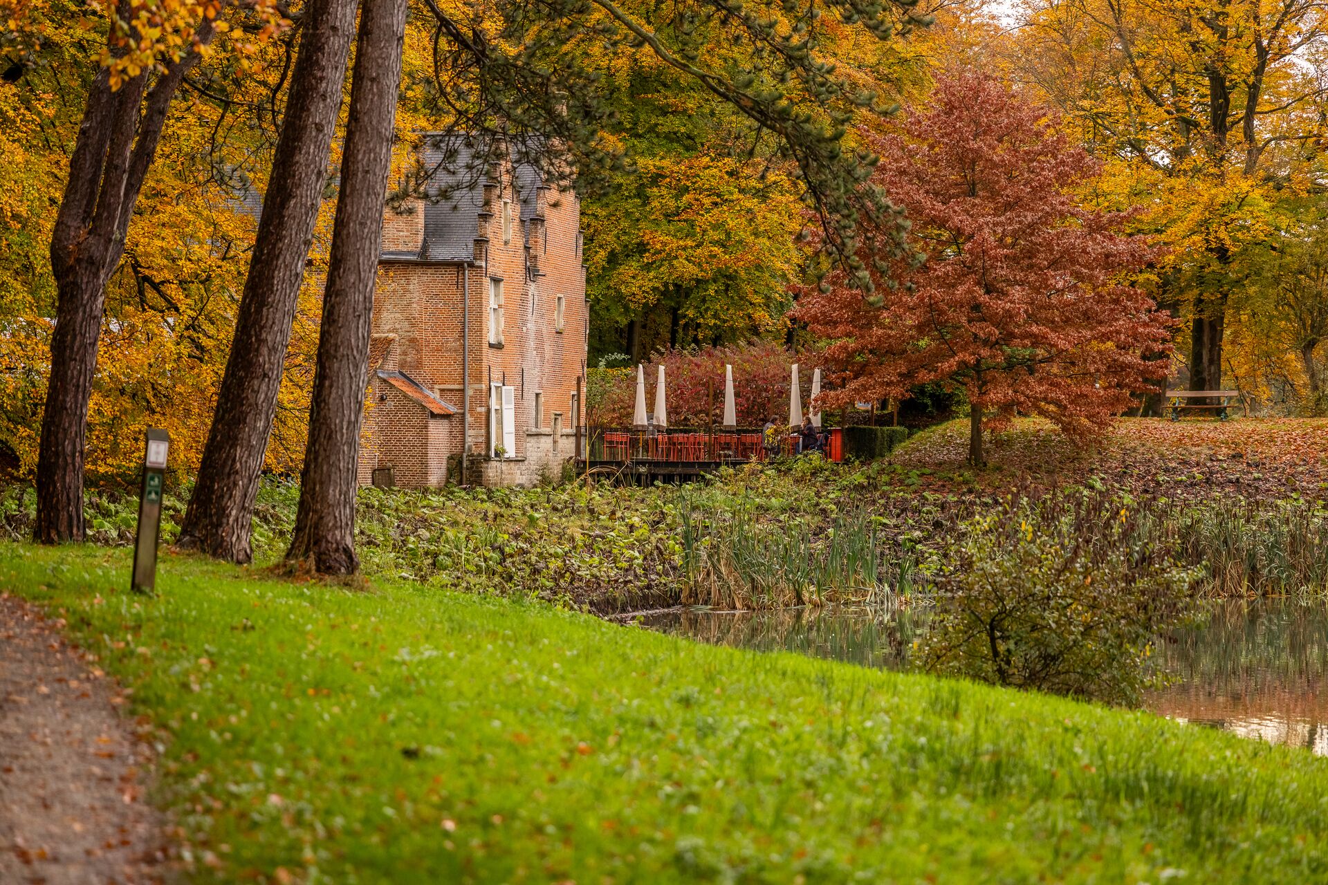 Una pittoresca casa in mattoni accanto a uno stagno tranquillo, circondata da alberi autunnali dai colori vivaci. Il fogliame arancione e giallo crea un’atmosfera calda e serena.