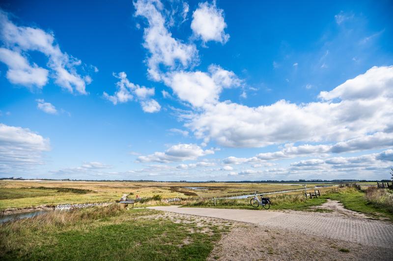 Zwin Knokke (c) Piet De Kersgieter (25)