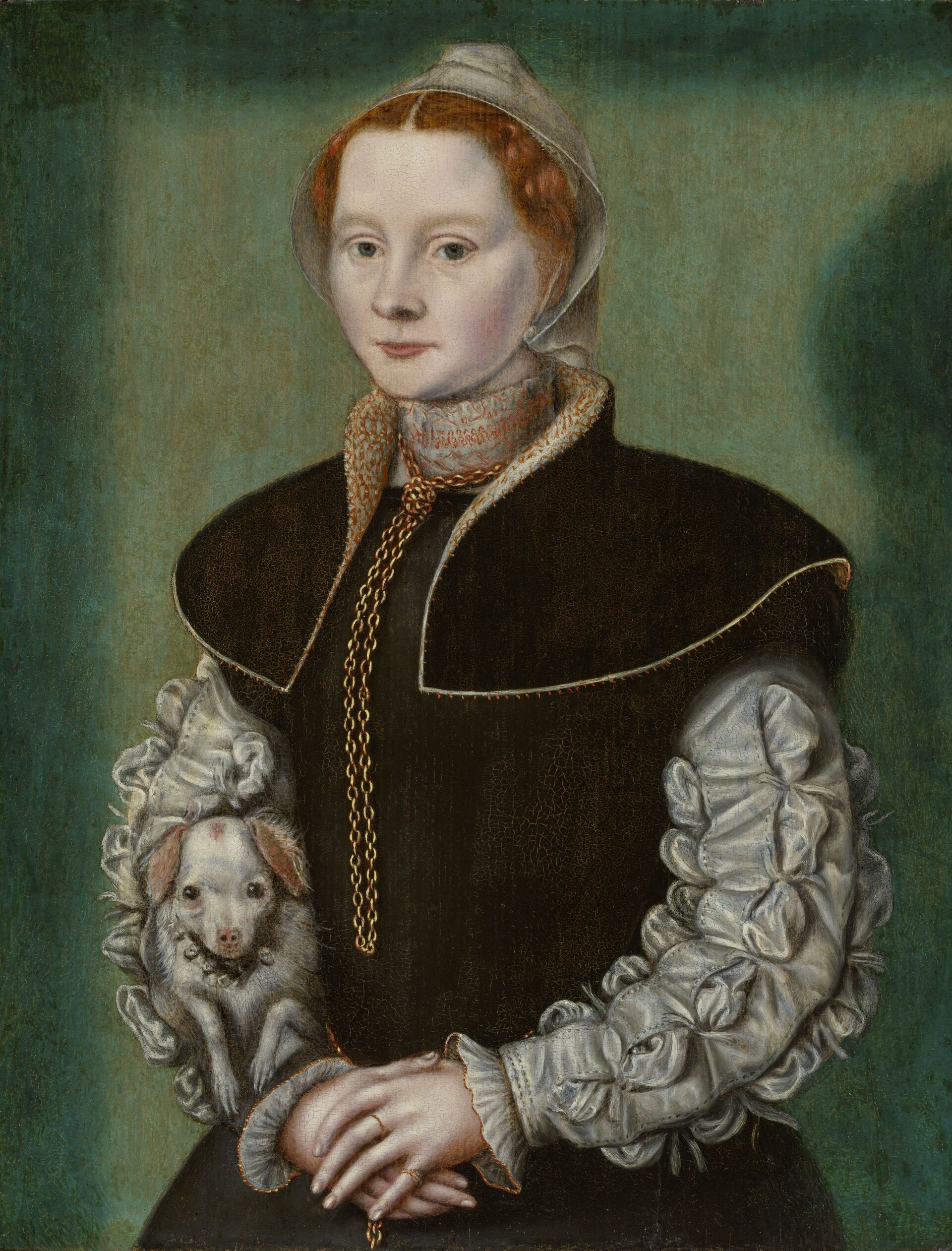 Catharina van Hemessen - Portret van een jonge dame met haar hond