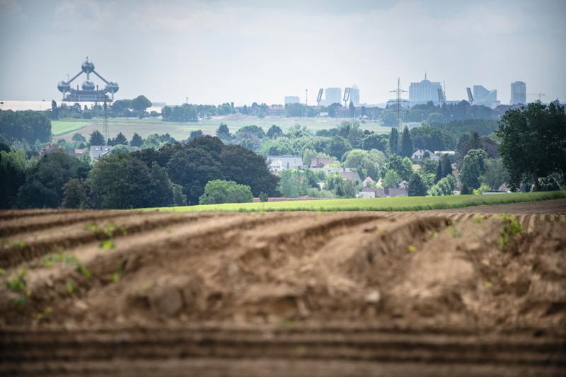Zicht op Atomium - Fluxenberg (c) Lander Loeckx