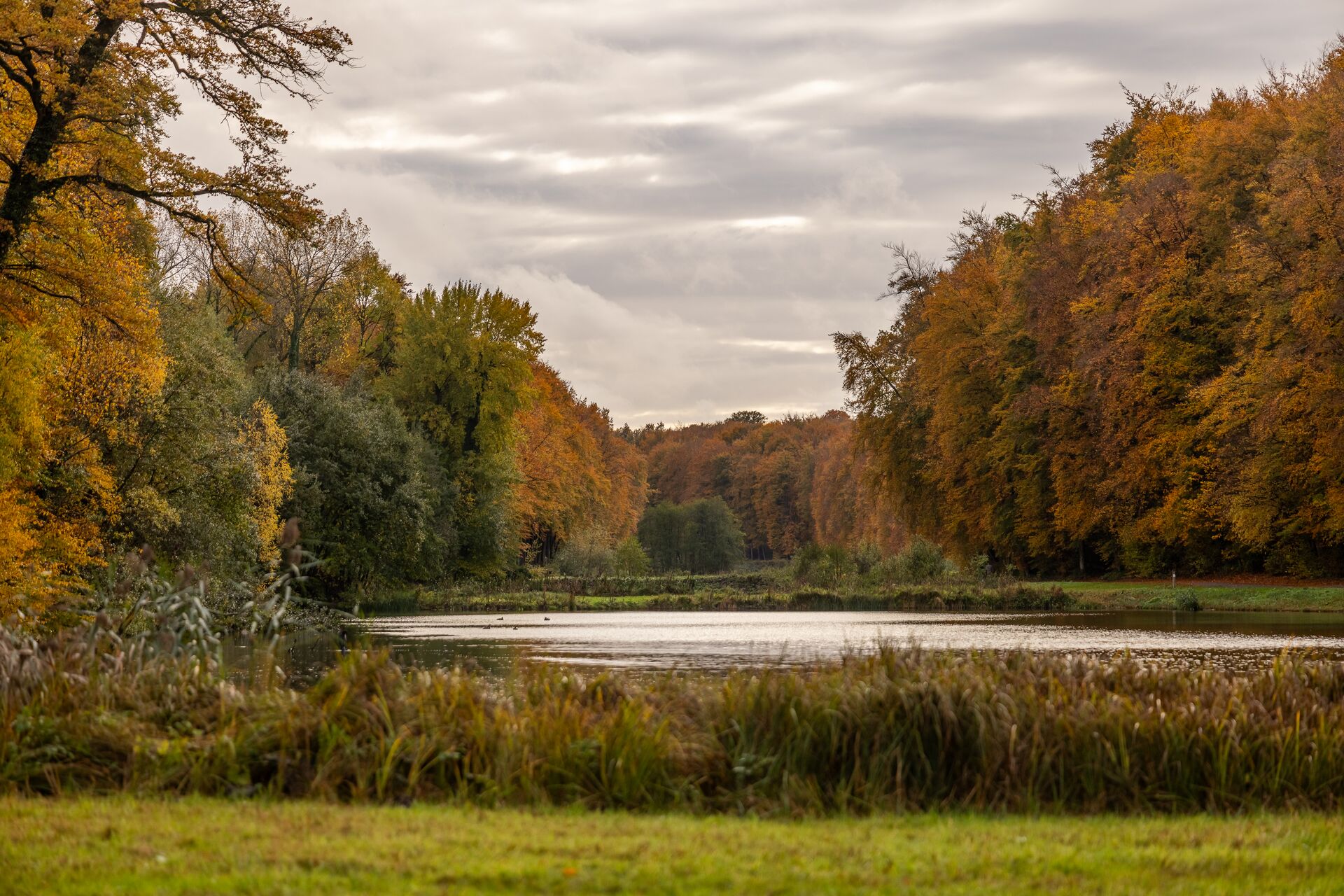 Paesaggio autunnale con un lago tranquillo circondato da alberi dai ricchi colori autunnali. Il cielo nuvoloso crea un’atmosfera serena e riflessiva.