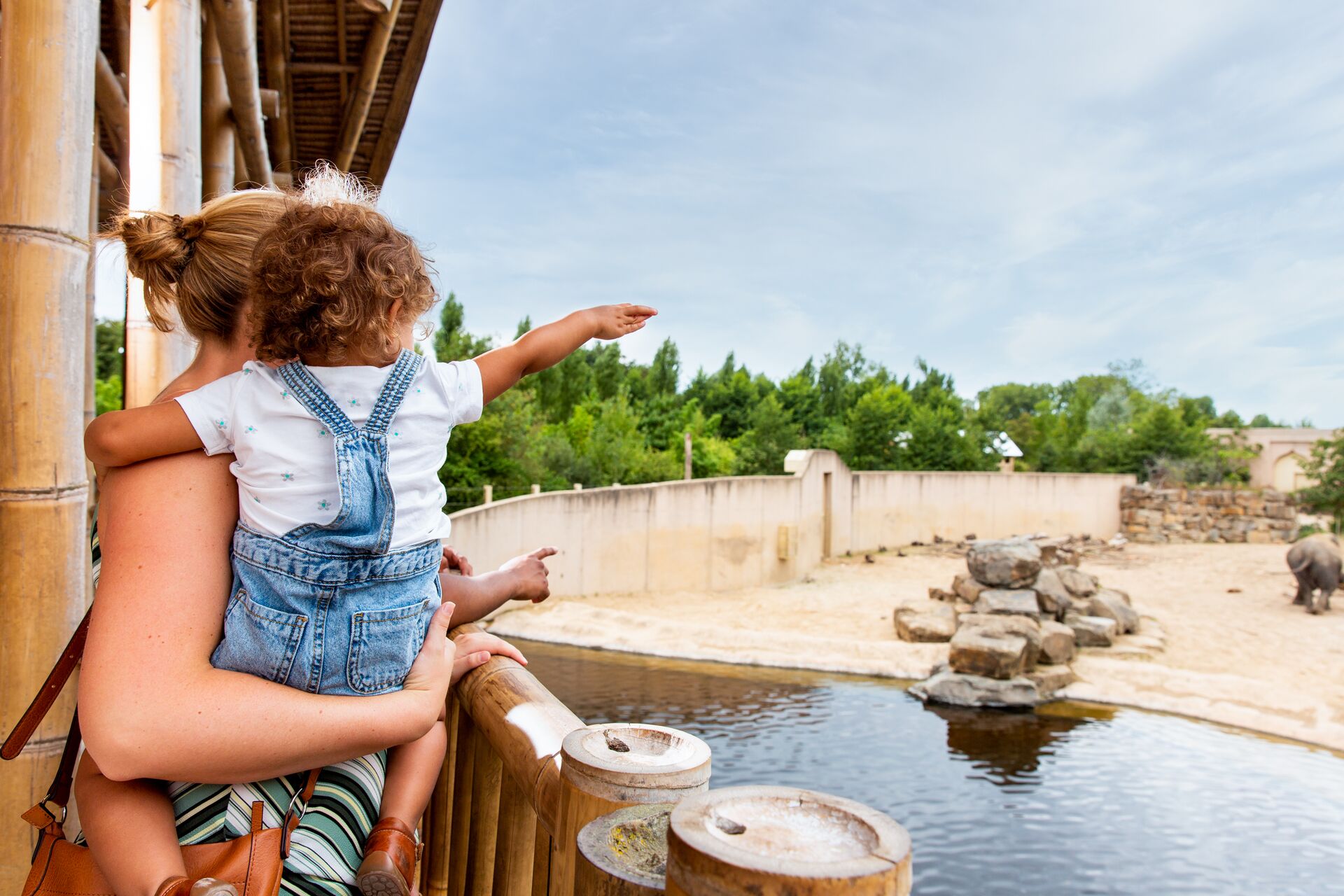 Planckendael (c)Visit Mechelen