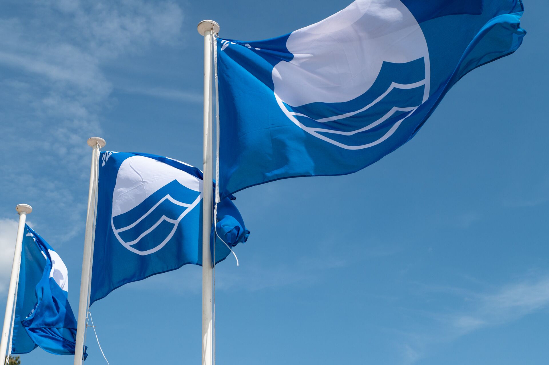 Blue Flag 2023 Opgehangen vlaggen van het Blue Flag logo.