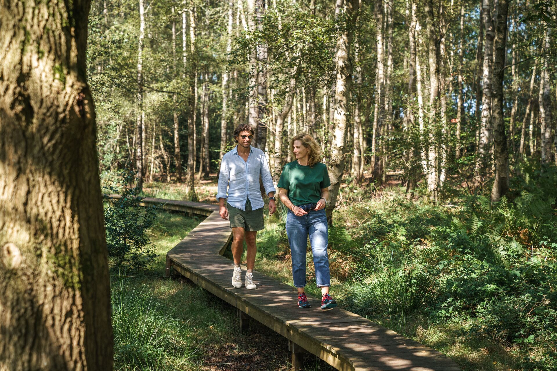 Het Drongengoed is het grootste aaneengesloten bos van de provincie, goed voor uren wandelplezier. Drongengoed_Vlonderpad in Maldegemveld ©Jens Mollenvanger voor Toerisme Oost-Vlaanderen